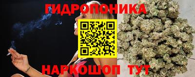 крисы Тулун