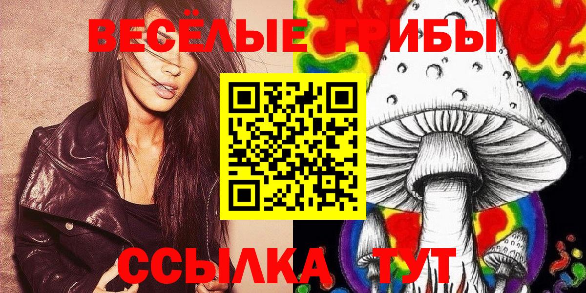 Псилоцибиновые грибы мицелий Белореченск